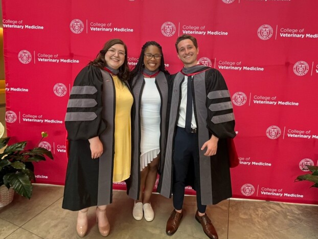 RED Veterinary Scholars celebrate completion of their veterinary degrees at the 2024 Hooding Ceremony (The ceremonial hood communicates the school, degree, and field of study. DVM degrees are always grey, no matter the school, and they have three stripes on the sleeves.) (L to R) Kelsey Warner DVM ’24, Alayzha Turner-Rodgers DVM ’24 and Alan Coberg DVM ’24